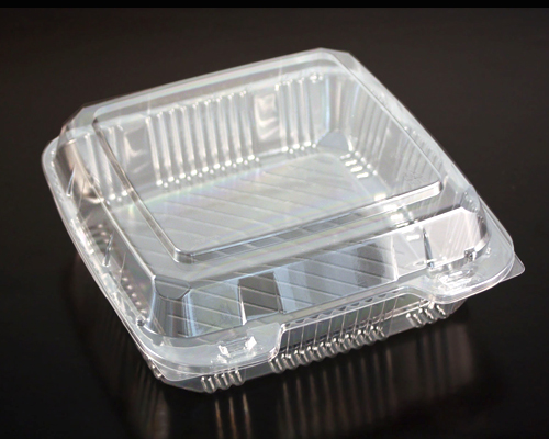 Clear 9 Clam Shell Polystyrene container